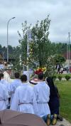zdj-9