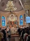 zdj-15